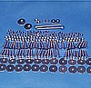 Bed wood and strip Bolt set - Polished Stainless